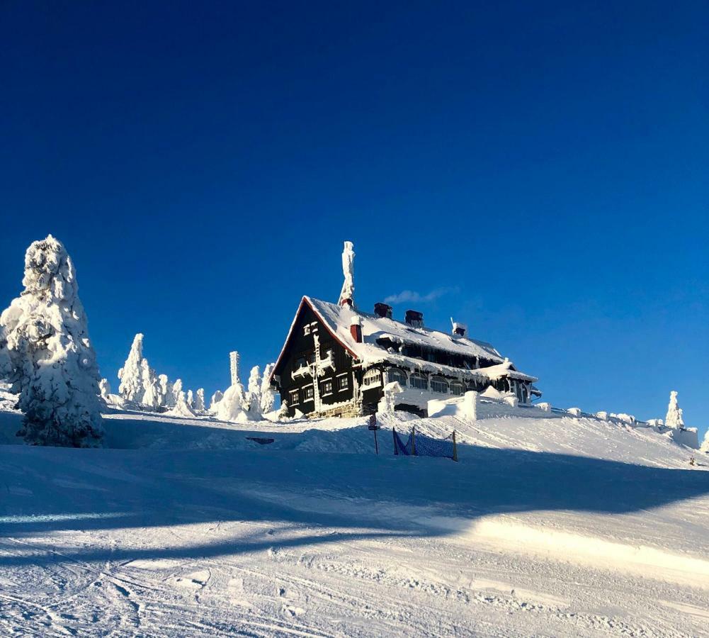 Ski Sun Sea - Rodzinny Apartament Pod Gondola Świeradów-Zdrój Exterior foto